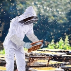 Factory Overall beekeeping suit beekeeping supplies bee suit beekeepers cotton bee clothes Ventilated