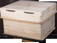 Fir wood Chinese bee hive Korea Beehive one bee box