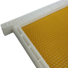 Plastic Frame with Foundation Sheet Langstroth Plastic Bee Hive Frame