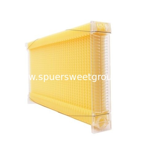 Manufactory Potented plastic honey bee hive flow frame