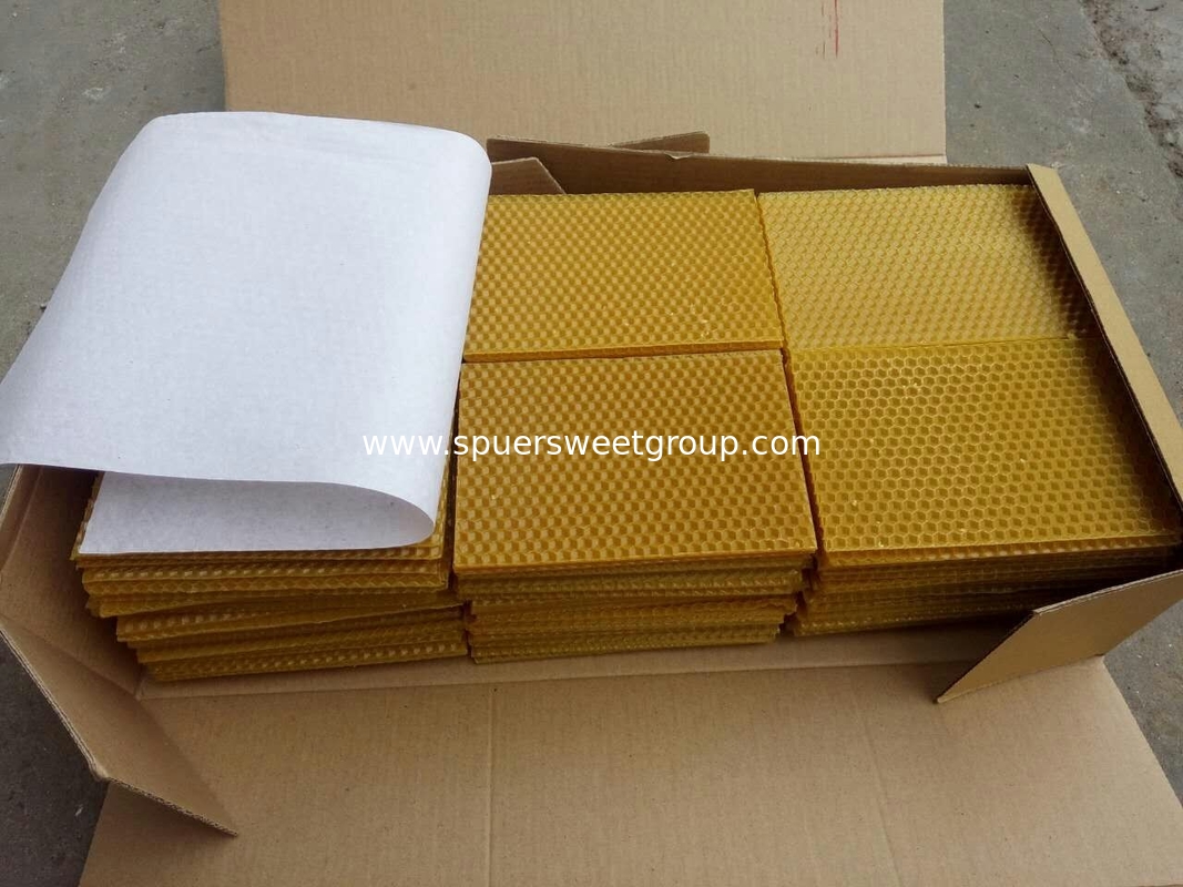 Wholesale beekeeping supplies plastic&beeswax honey comb foundation sheet