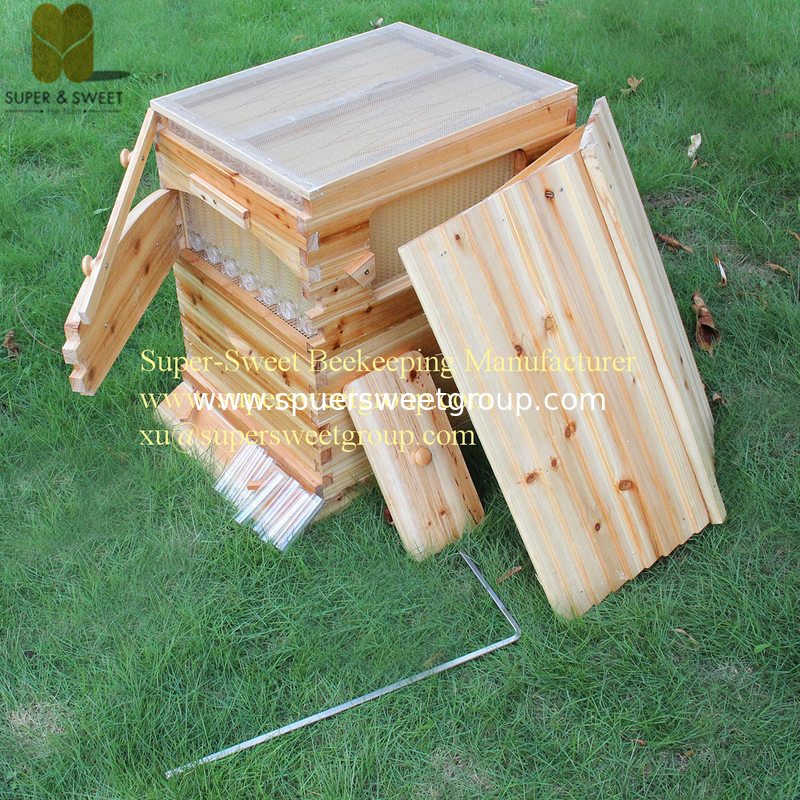 Wooden Beekeeping Beehive Brood House Box 7 PCS Auto Flow Bee Comb Hive Frames