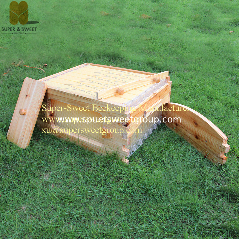 New honey plastic flowing bee frame for langstroth beehive/Chinese supplier