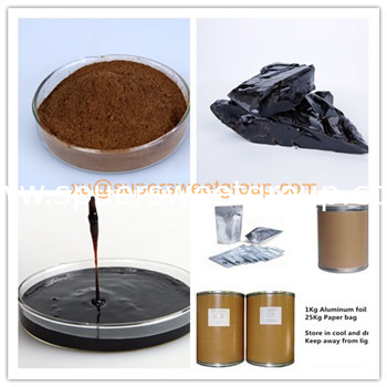 Pure natural propolis extracts propolis powder and propolis liquid wholesale
