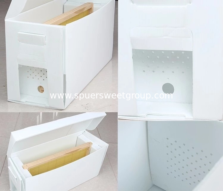 Corrugated PP Mating Nuc Bee Box for Queen Rearing