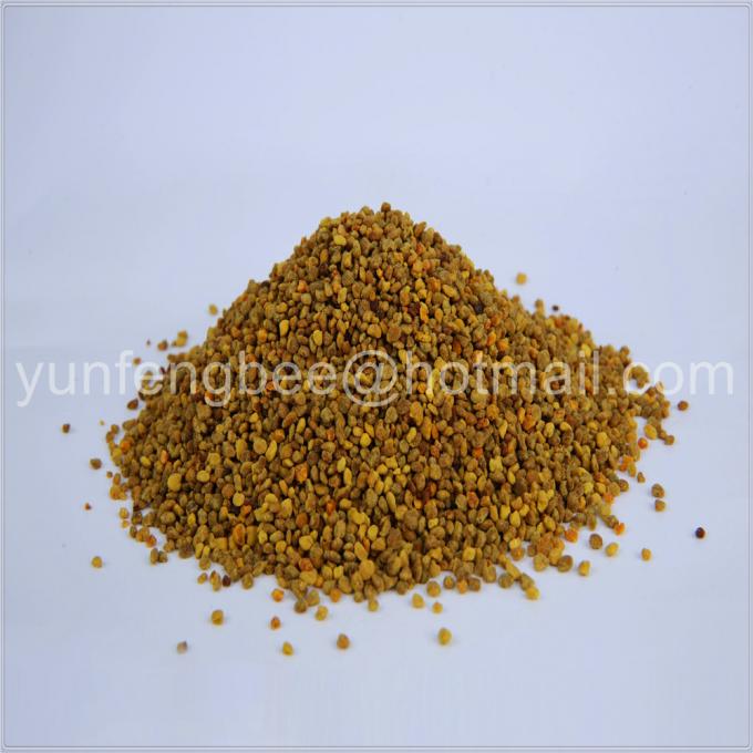 Newest pharmacy health food 5kgs pure yellow color rape bee pollen granules