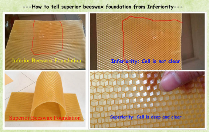 beeswax china