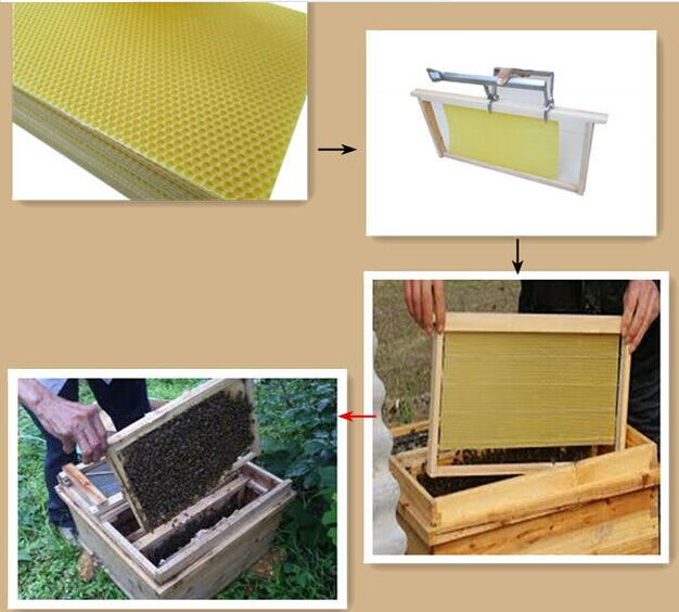 Bee wax foundation comb sheet from pure beeswax