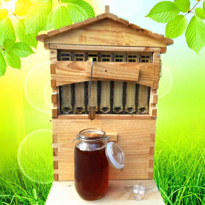 China Manufacturer Automatic 7 frames langstroth Flowing Honey Hive