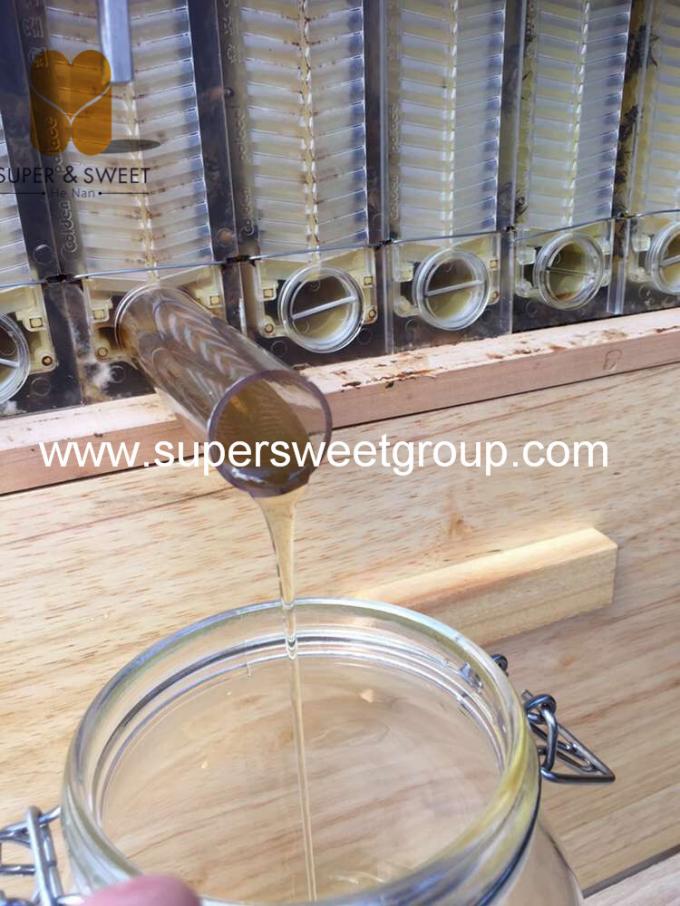 Beekeeping honey bee hive honey automatic flow 7 frames with beehive 1-Deep Brood