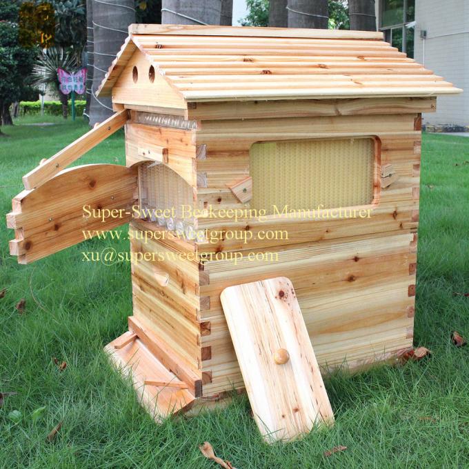 Flowing Honey Hive Frames (7pieces) Plastic Out Flow Bee Hive Frames with Bee Box
