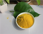 China Manufactory Naturally Fermented Bee Pollen Powder