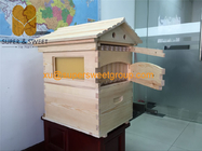 Manufacturer Pine/Fire Wood Flowing Honey Beehive Supplier
