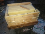 China Supplier Flow hive automatic flow honey,honey bee hive