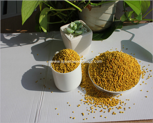Natural Sunflower Raw Fresh Pure Unprocessed Mixed Bee Pollen Direct Factory Bulk Bee Pollen Premium Healthy Mixed Bee Pollen