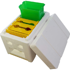 Plastic Mating Nuc bee hives bee breeding box mini foam polystyrene bee box beekeeping starter kit ESP mating