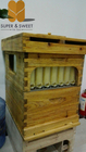 Manufactruer supply china fire&Pine Langstroth hive with 7pcs self-flowing honey hive frames