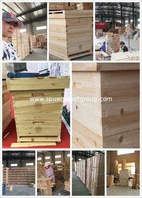 China Manufacturer Automatic 7 frames langstroth Flowing Honey Hive