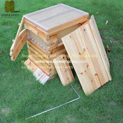 China beekeeping tools honey self-flowing bee hive/beehive with 7pieces frames