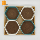 Pharmacy propolis powder extract refined of pure natural bee propolis Powder export to Australia