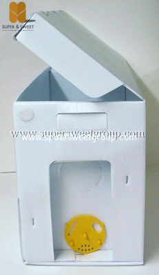 Polypropylene plastic Langstroth Nuc Box Beehive for Beekeeper