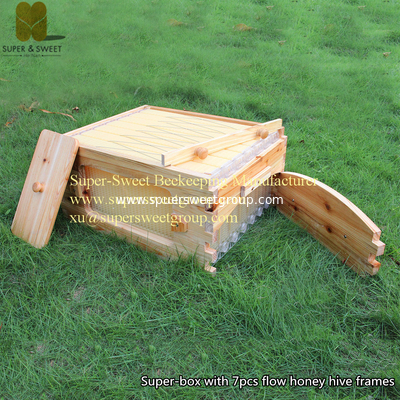 Plastic Self-flowing Honey Frames Frames Producer&Supplier