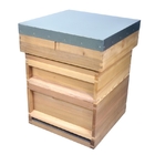 Beekeeping Hive Western Red Cedar National UK National Bee Hive with frames
