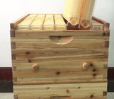 BPA Free Langstroth/Australia Honey Flow Bee Hive Frame Food Grade Plastic Frame(7 pcs)