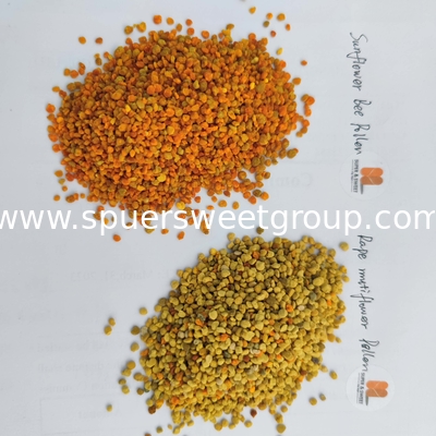Bee Farm Wholesale Bulk Organic Pure Natural Food Grade Improve Immune Anti-aging Cosmetology Fresh Rape Honey Bee Flower Pollen