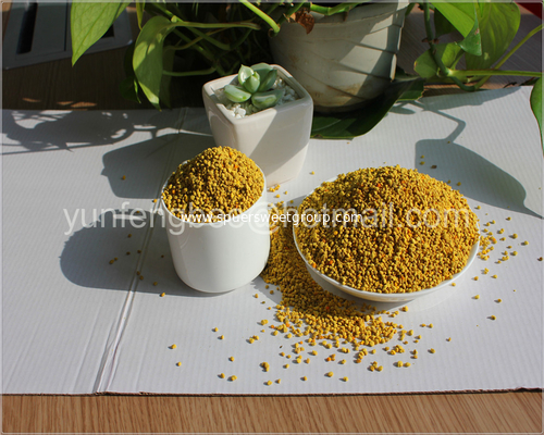 New Harvest Organic Bulk Rape Sunflower Bee Pollen Wholesale and Pine Bee Pollen Powder