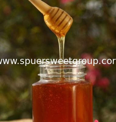 Organic Sider Honey Hot Sell Pure Natural Jujube Honey Healthcare Food Raw Bee Honey Packing in Bottle/ Glass Jar Packaging