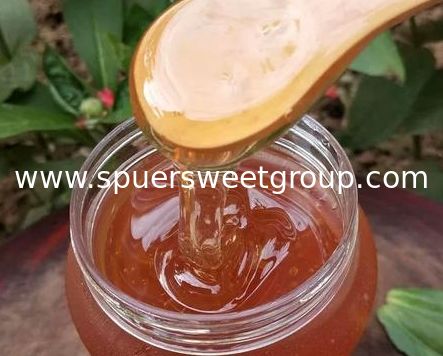 Organic Sider Honey Hot Sell Pure Natural Jujube Honey Healthcare Food Raw Bee Honey Packing in Bottle/ Glass Jar Packaging