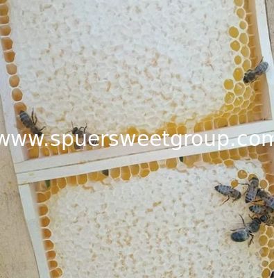 100% Pure Combing Honeycomb Airtight Food Grade Raw Honeycomb Taste Crunchy Chewy Jujube Honey Nature Unprocessed Bottle