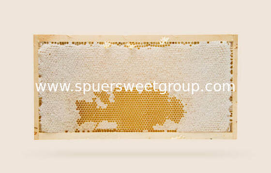 Premium Raw Pure Bee Honeycomb with Whole Frame 2kg 100 Percent Natural Food Grade High Quality Wholesale Natural Origin