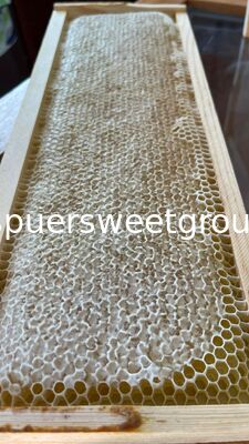 Raw Edible Honeycomb Natural Unfiltered Honey 100% Fresh Multiflower Bulk Organic Comb Honey with Whole Frame Wholesale Supplier