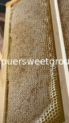 Raw Edible Honeycomb Natural Unfiltered Honey 100% Fresh Multiflower Bulk Organic Comb Honey with Whole Frame Wholesale Supplier