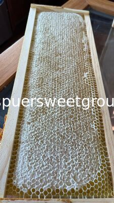 Raw Edible Honeycomb Natural Unfiltered Honey 100% Fresh Multiflower Bulk Organic Comb Honey with Whole Frame Wholesale Supplier
