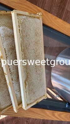 Natural Raw Honeycomb Honey Pure Organic Multiflower Bulk Wholesale Edible Honey Comb with Whole Frame 2kg From Wild Cultivation