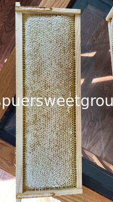 Premium 100% Natural Raw Wild Honeycomb Beehive Honey Pure Unfiltered Fresh Direct From Beekeepers with Whole Frame 2kg