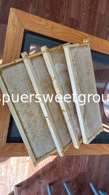 Best Quality Natural Raw Honeycomb Edible Wildflower Honey 100% Pure Bee Farm Halal ISO Certified Bulk 2kg Whole Frame Beehive