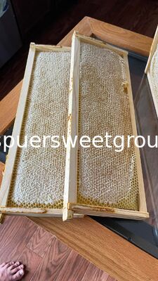 100% Natural Raw Honeycomb From China Sweet Taste Pure Wild Beehive Honey High Quality Bulk Sale With Whole Frame 2kg