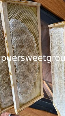 Natural Raw Honeycomb Honey Pure Organic Multiflower Bulk Wholesale Edible Honey Comb with Whole Frame 2kg From Wild Cultivation