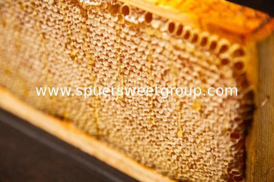 beehive honey All Natural Raw Honeycomb 100% Honey Pure  a whole frame Raw Honey Comb All Natural Edible Honey Combs Raw Edible