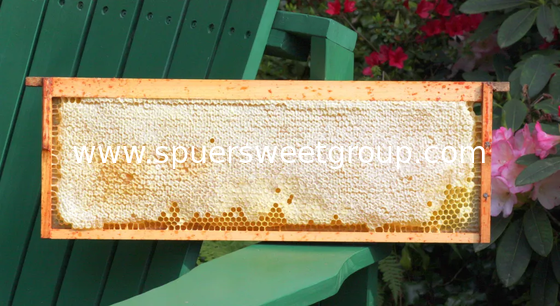 2025 New Season 100% Pure Natural Raw Organic Wildflower Comb Honey One Whole Frame Fresh Premium Bee Honeycomb