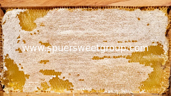 Premium Wholesale All Natural Raw Honeycomb 100 Pure Edible Beehive Honey Comb From Wild Multiflower Bee Honey with a Frame