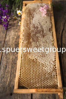 High Quality 100% Pure Natural Raw Unfiltered Honey Honeycomb From Wild Flowers Bottle Packaging 2kg Whole Frame Beehive