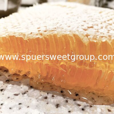 High Quality 100% Pure Natural Raw Unfiltered Honey Honeycomb From Wild Flowers Bottle Packaging 2kg Whole Frame Beehive