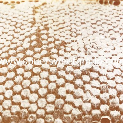 High Quality 100% Pure Natural Raw Unfiltered Honey Honeycomb From Wild Flowers Bottle Packaging 2kg Whole Frame Beehive