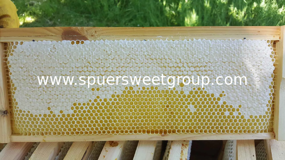 2025 New Season 100% Pure Natural Raw Organic Wildflower Comb Honey One Whole Frame Fresh Premium Bee Honeycomb
