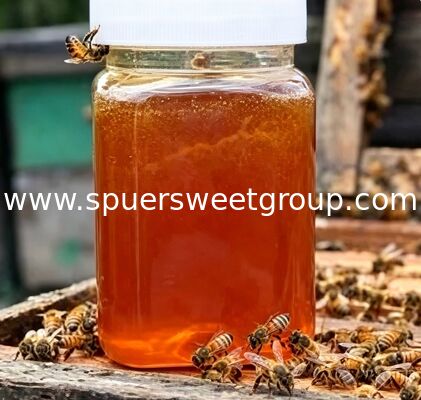 Factory Direct Top Premium Quality 100% Pure Natural Mature Sidr Honey Bulk 28 kg Unfiltered Halal Certified for Wellness